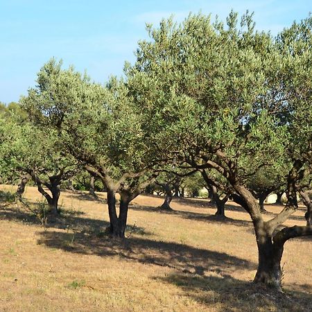 La Villa Provencale Lorgues Kültér fotó