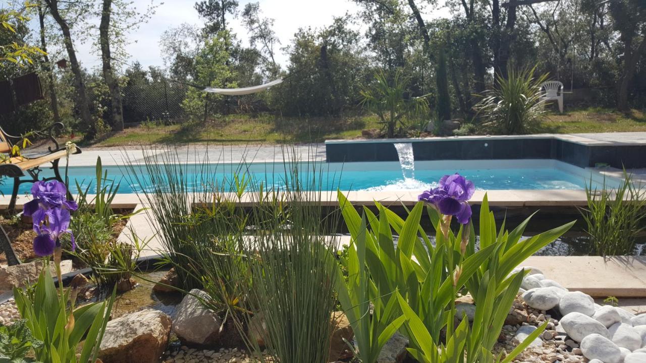 La Villa Provencale Lorgues Kültér fotó
