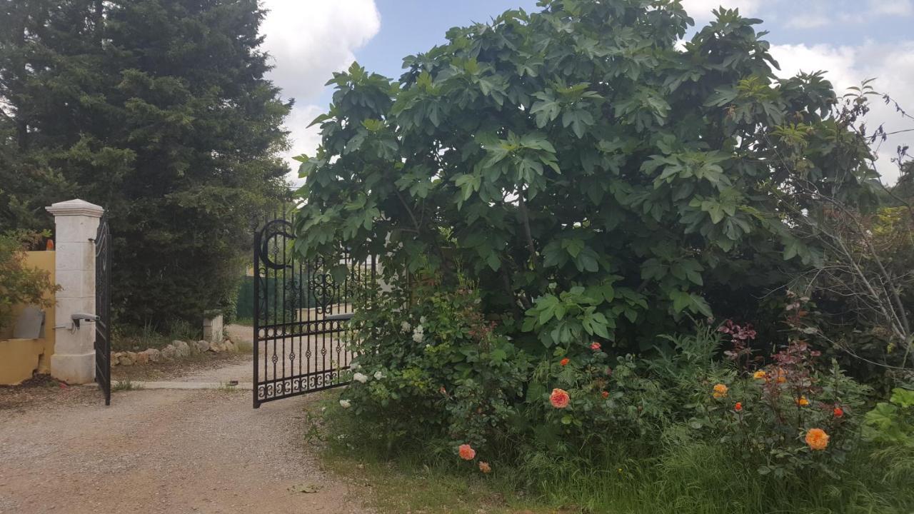 La Villa Provencale Lorgues Kültér fotó