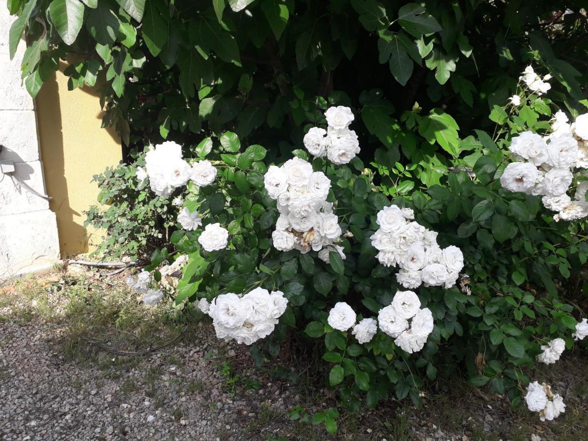 La Villa Provencale Lorgues Kültér fotó