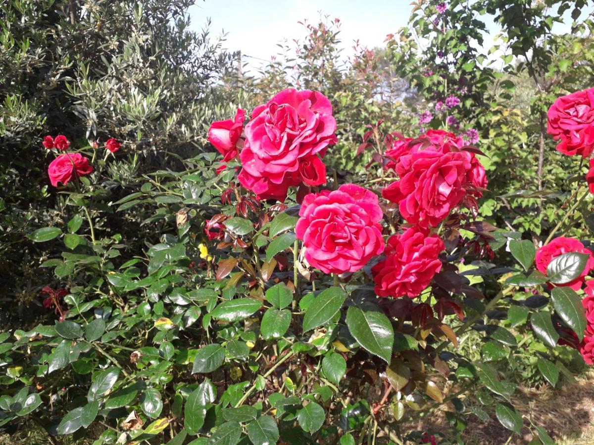 La Villa Provencale Lorgues Kültér fotó