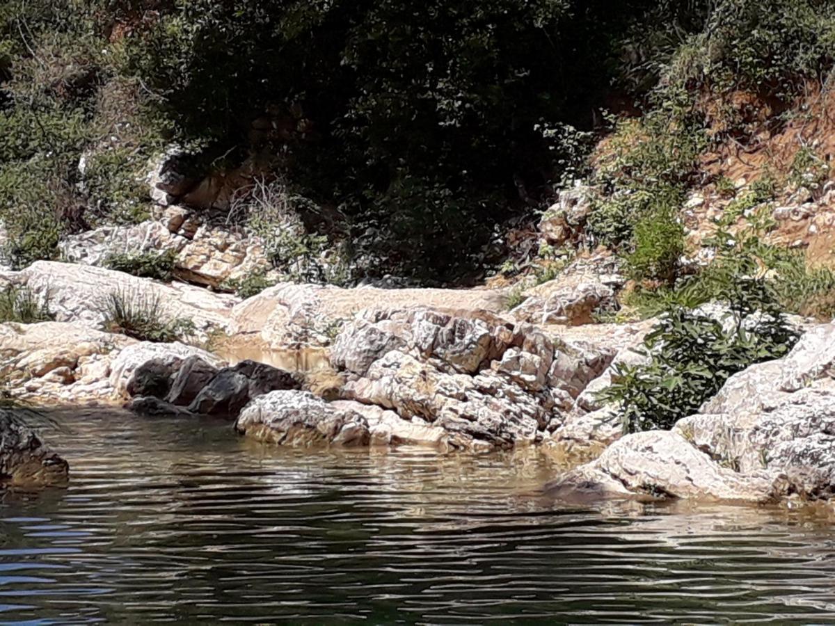La Villa Provencale Lorgues Kültér fotó