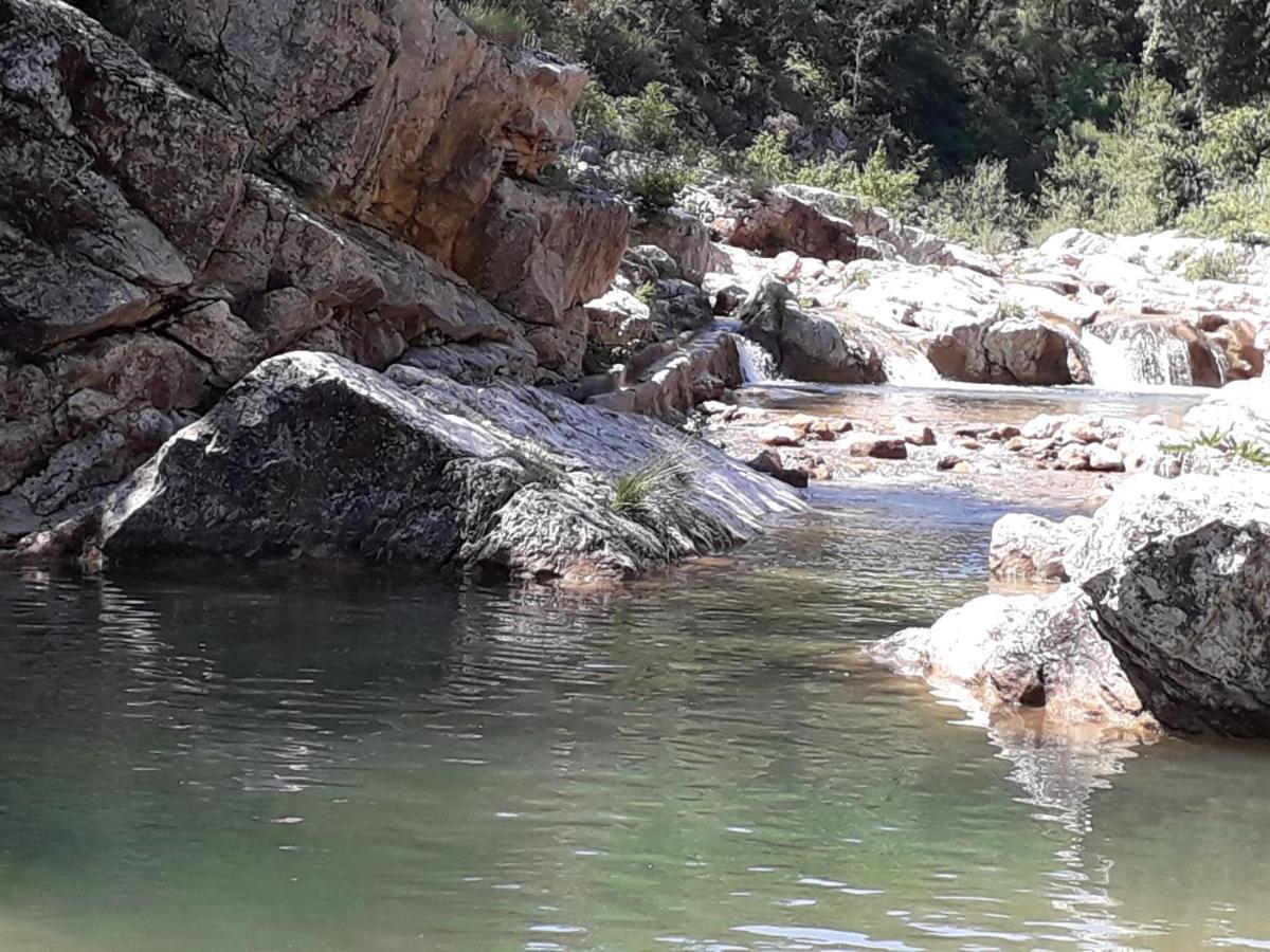 La Villa Provencale Lorgues Kültér fotó