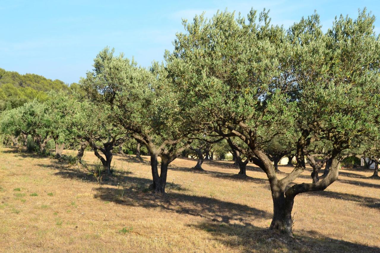 La Villa Provencale Lorgues Kültér fotó